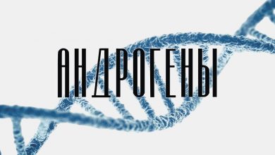Photo of Слово дня: андрогены | BroDude.ru