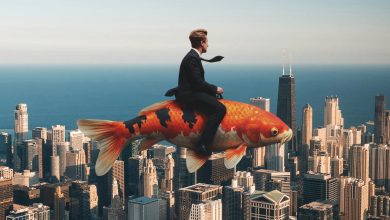 Photo of 11 целей, за которыми не стоит гнаться, если ты действительно хочешь быть счастливым