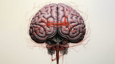 Photo of 6 признаков, что твой тип мышления — «тревожный отличник»