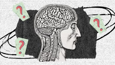 Photo of Сомневаться, учиться, развиваться: чем полезно интеллектуальное смирение и как к нему прийти