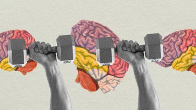 Photo of Как и зачем укреплять связь между мышцами и мозгом