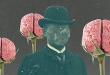 Photo of 8 примеров, как любознательность спасает тебя от выгорания