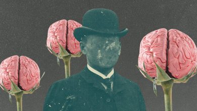 Photo of 8 примеров, как любознательность спасает тебя от выгорания