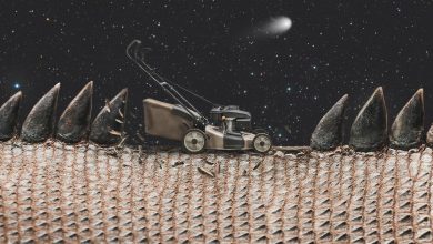 Photo of Можно ли бриться после лазерной эпиляции и когда это безопасно