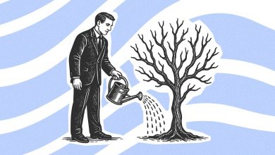 Photo of 11 небольших ежедневных действий, которые принесут колоссальный результат за год