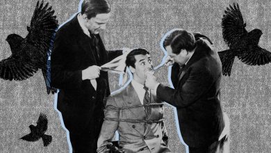 Photo of 9 вещей, которые меняются, когда ты начинаешь развивать коммуникабельность