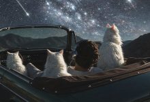 Photo of Гороскоп: как читать прогнозы и не попадаться на универсальные формулировки