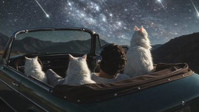 Photo of Гороскоп: как читать прогнозы и не попадаться на универсальные формулировки