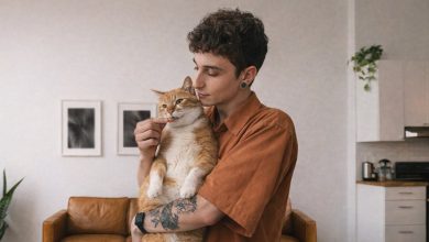 Photo of Размер порции и режим: как правильно кормить кошку